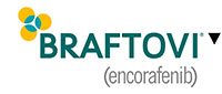Logo Braftovi